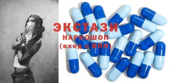 хмурый Бикин