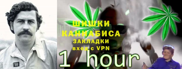 крисы Абдулино