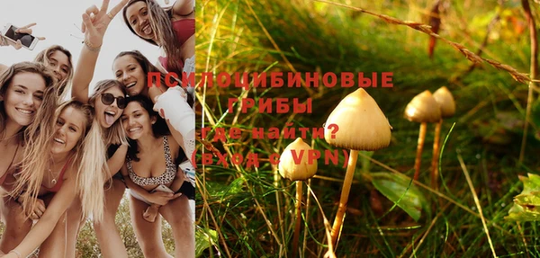 mdpv Покровск