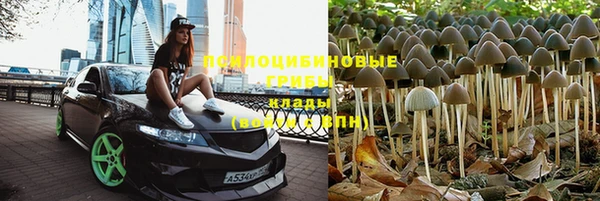 крисы Абдулино