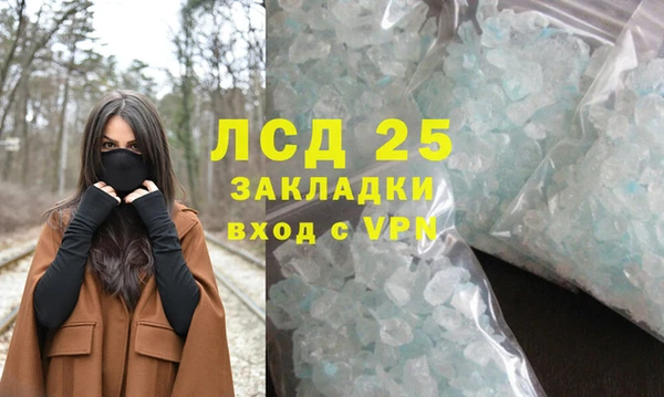 PSILOCYBIN Абаза