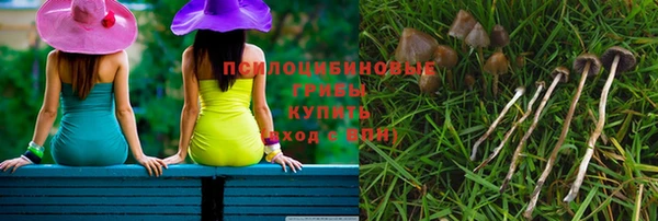 PSILOCYBIN Абаза
